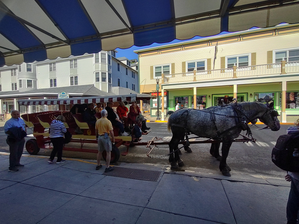 A tour bus, (remember no cars.)