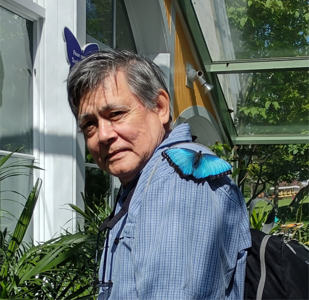 This butterfly liked my shirt.