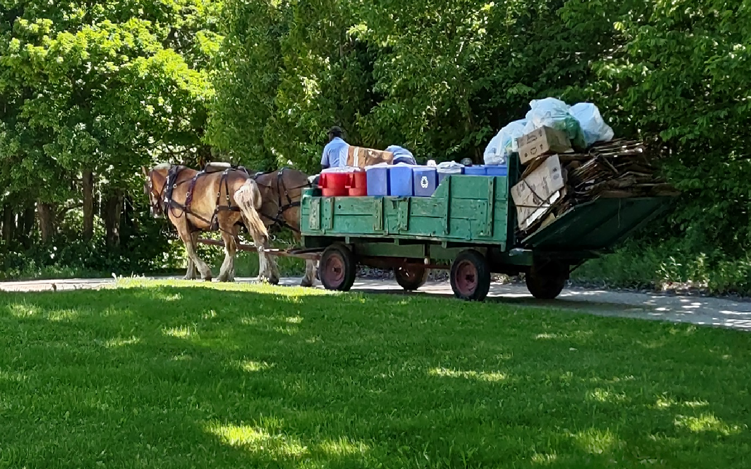 Outside the butterfly exhibit we saw a garbage truck. It must have been collection day.