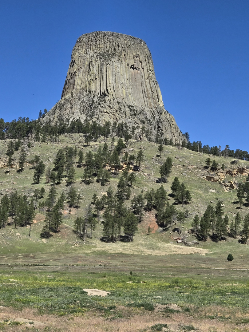 Meadow in front of Devil’s Tower